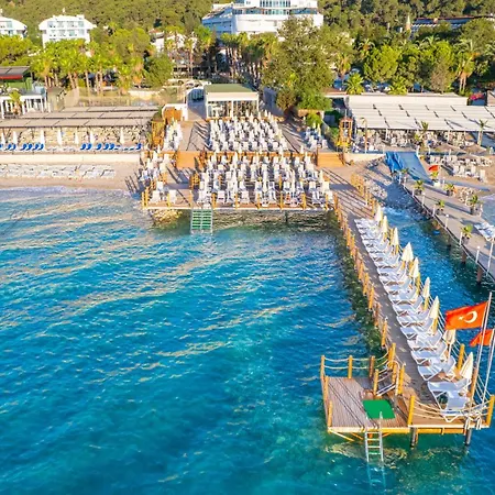 Rose Garden Premium *